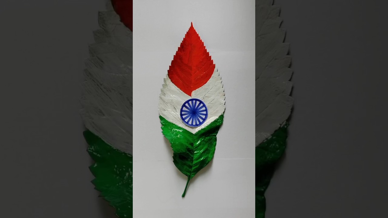 India flag drawing with leaf🍀