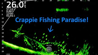 Fishing For Winter Crappie on Lake Darbonne!!!  FullScreen LiveScope Fishing Footage!!!  Trip #15