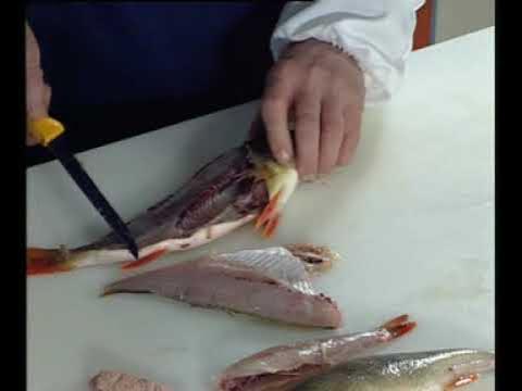Судак рыба чешуя. Как правильно разделать судака. Как чистить щуку от чешуи. Как чистить судака. Как правильно разделать судака.