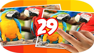 Tap 5 Differences Level 29 Walkthrough