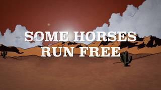 Jim Lauderdale - "Some Horses Run Free" (Lyric Video) chords
