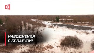 Вода уничтожает дома и разрушает подворья! | Как белорусы спасаются от паводков