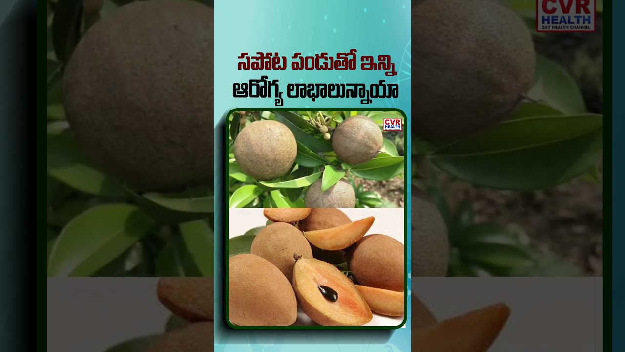 సపోట పండుతో ఇన్ని ఆరోగ్య లాభాలున్నాయా | Sapodilla fruit health benefits | CVR HEALTH
