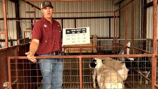 Genetic Selection for Parasite Resistance