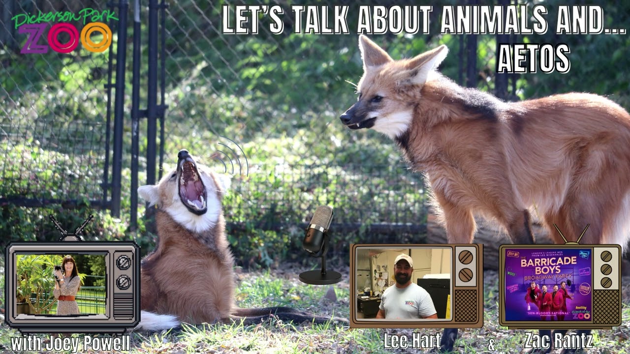 Let's Talk About Animals And...Aetos Performing Arts Center