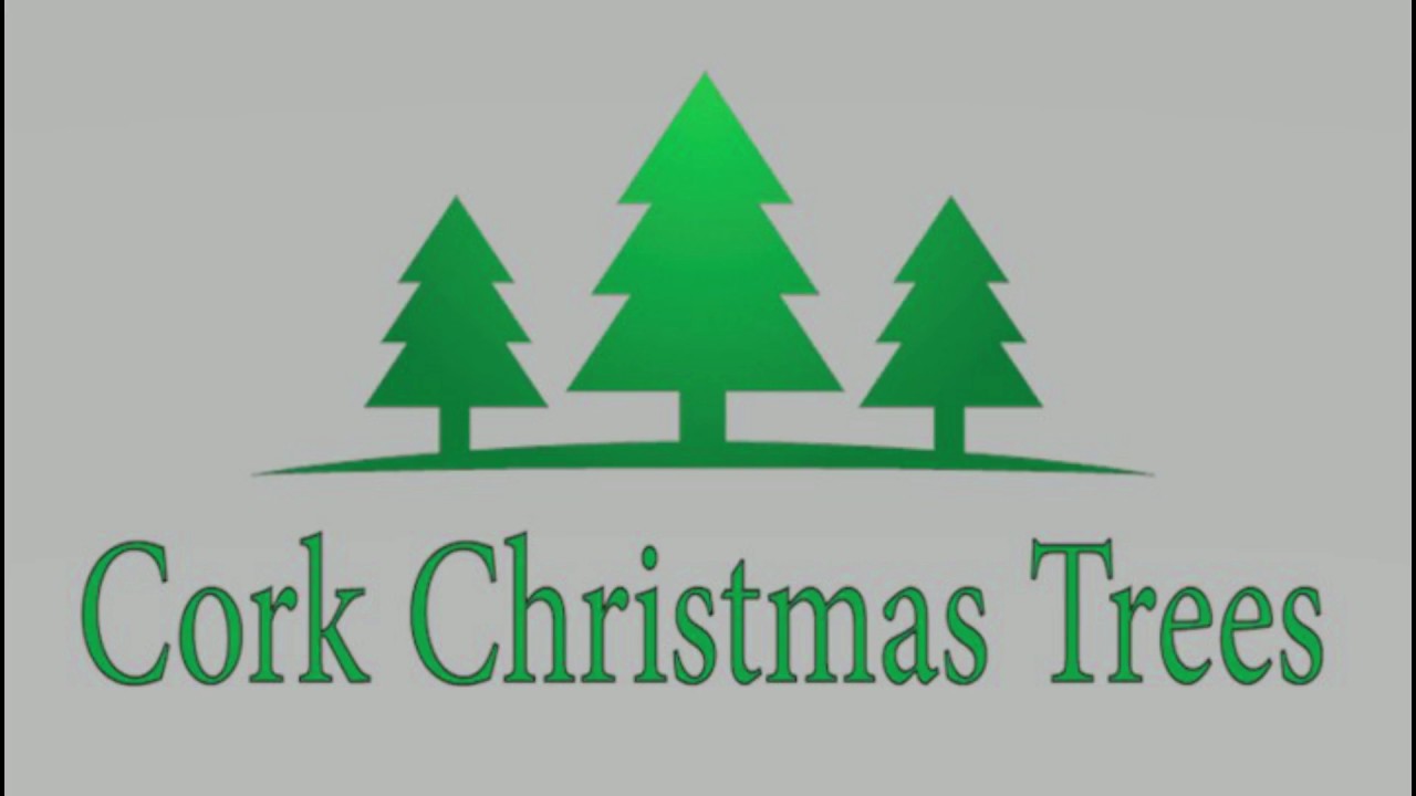 christmas trees for sale ireland YouTube