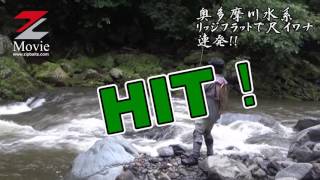 ジップベイツ 多摩川水系リッジFLATで尺イワナ連発!!