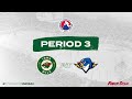 Iowa Wild vs Springfield Thunderbirds Game Highlights | 3.29.2025