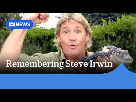 Remembering Steve Irwin 20 years after his death | ABC NEWS