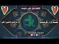 در فراقت یا نبی ص خسته و زار گردیدم عاشقی دیداری تو دل بیقرار گردیدم 