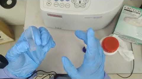 Tutorial on How to Use Thermo Scientific Genesys 10S UV-Vis