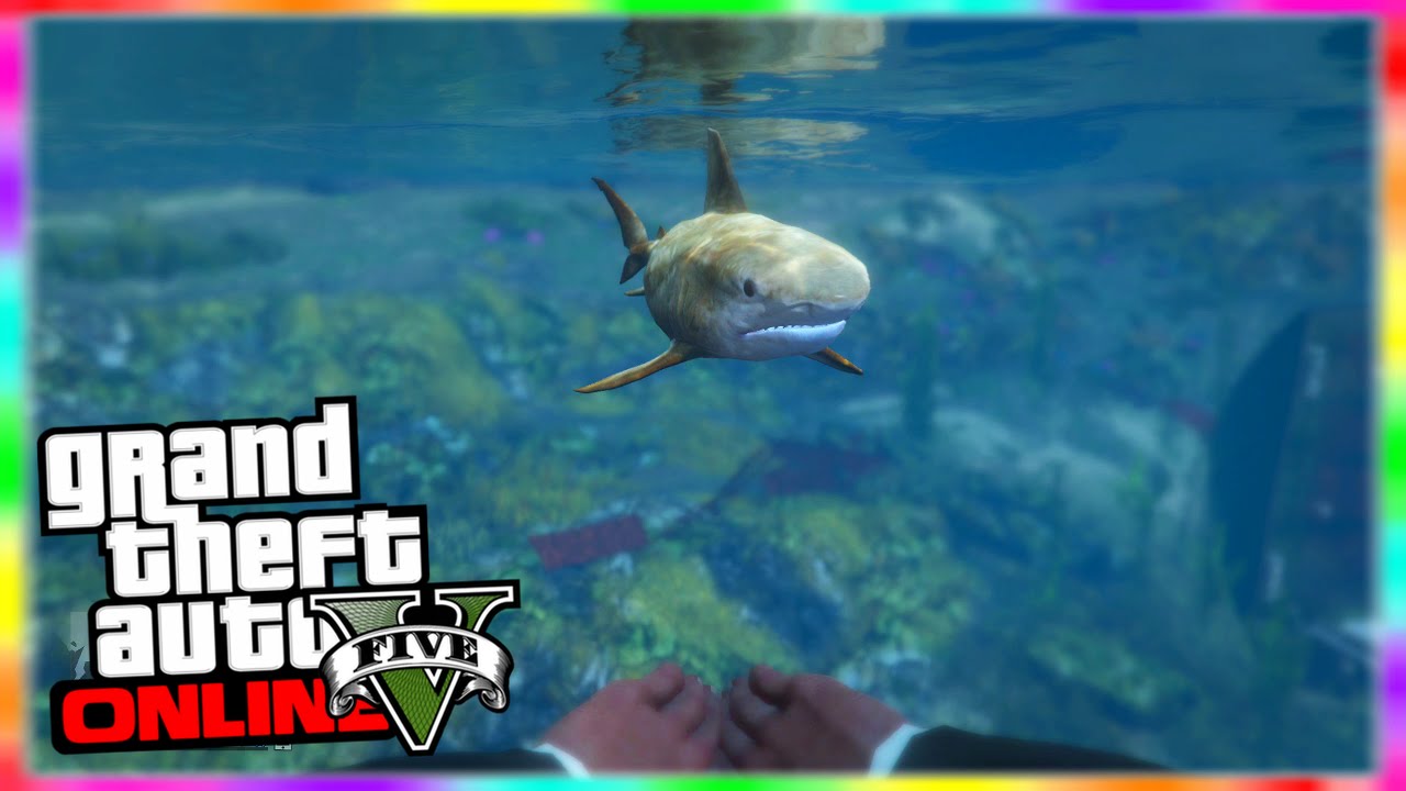 GTA 5 Online SHARK GLITCH ONLINE! How to Spawn Sharks Online! NEW
