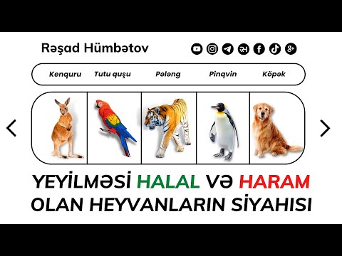 Video: Çəyirtkə əti yeyəcəkmi?