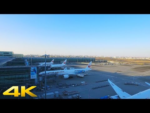 Tokyo, Japan | in Haneda Airport | Airport Walk 4K