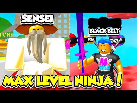 I Became A Black Belt Max Level Master Ninja In Ninja Heroes Simulator Roblox Youtube - white ninja master roblox