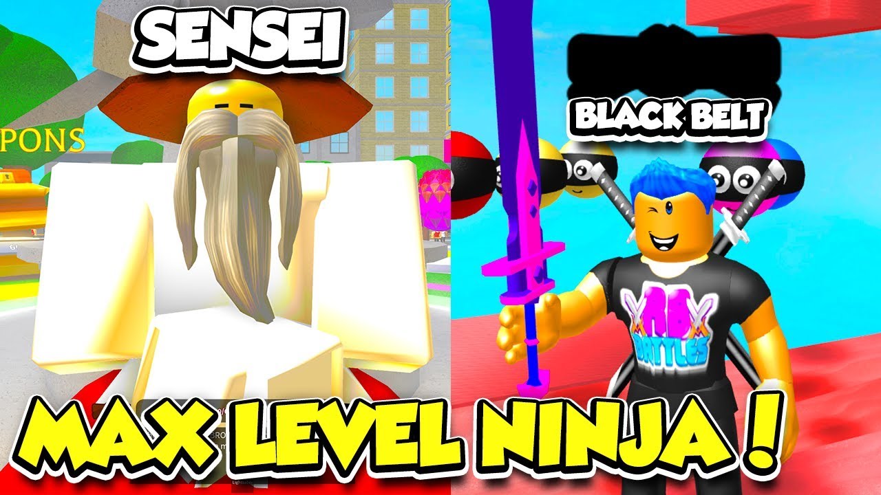I Became A Black Belt Max Level Master Ninja In Ninja Heroes