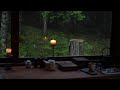 summer rain in the forest. a calm PLAYLIST