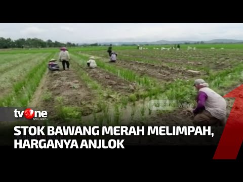 Video: Bawang Merah - Apa Itu?