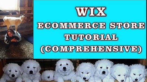 WIX Ecommerce Comprehensive Step by Step Tutorial to Getting Your Online WIX Store Up and Running!