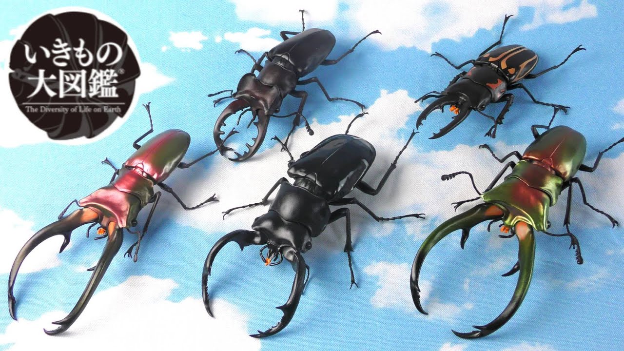 Illustrated encyclopedia of creatures 07] Introducing realistic