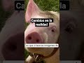 Cambios en la realidad 👁️ #misterio #teorias