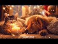 Music for stability for dog  cat sleep depression treatment calming stress relief dog  cat