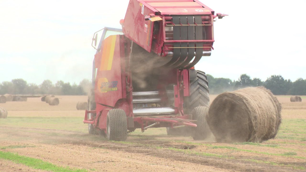 Le Neubourg (27) : la récolte du lin a commencé dans l'Eure