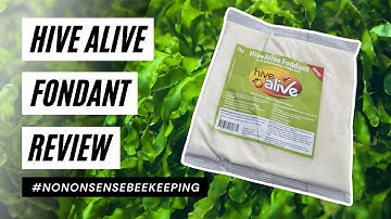 Hive Alive Fondant Review - Feeding Bees in Winter