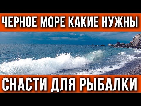 Снасти для рыбалки на Черном море. Что взять в отпуск?