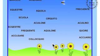 Italiano 27 (esercizio con CU-QU-CQU)