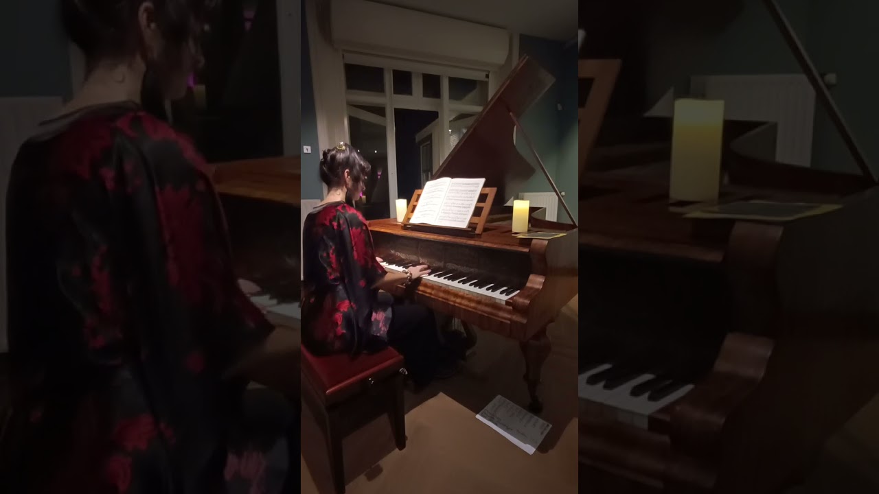 Beethoven, Satie and Chopin, by Elizabeth Fadel 