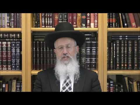 הגאון הרב אברהם יוסף שליט"א איך מכשירים את התנור או טוסטר אובן  מבשרי לחלבי