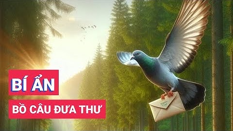 Vì sao bồ câu lại biết đưa thư? điều bí ẩn mà ít người biết đến