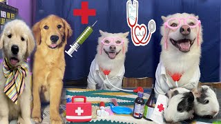 Dr-Buddy -4 | funny talking video | Bella , Blessie & shunuu munuu ? | Dog video