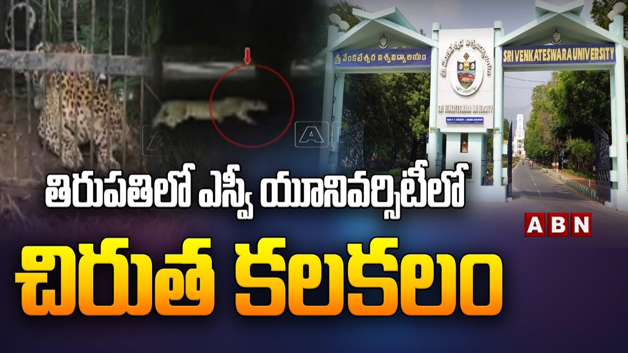 తిరుప‌తిలో ఎస్వీ యూనివ‌ర్సిటీలో చిరుత క‌ల‌క‌లం | Leopard spotted at SV University in Tirupati | ABN