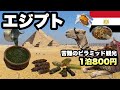 ピラミッドの町ギザ/安宿800円で最悪なオーナーと数多の南京虫/ お金をかけないとやばいことになる/ ラクダだけは可愛いかった