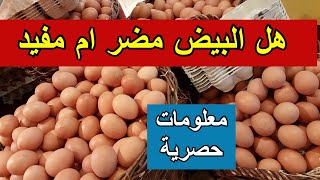 هل تناول البيض ضار ام نافع | وما هي الطريقة والكمية المناسبة لتناول البيض