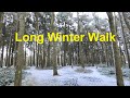 Walking In Winter Woods - Virtual Trail Walk For Treadmill Scenery