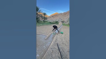 القران الكريم ربيع القلوب #اكسبلور #متآبعهہ_فَضلآ_ۆليَس_امراَ #لايك