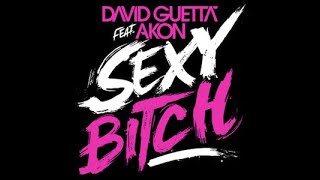 David Guetta ft Akon - Sexy Bitch (Krunk! Bass Boosted Remix) Resimi