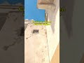 Dust 2 - Два полезных смока на Б #cs2 #кс2