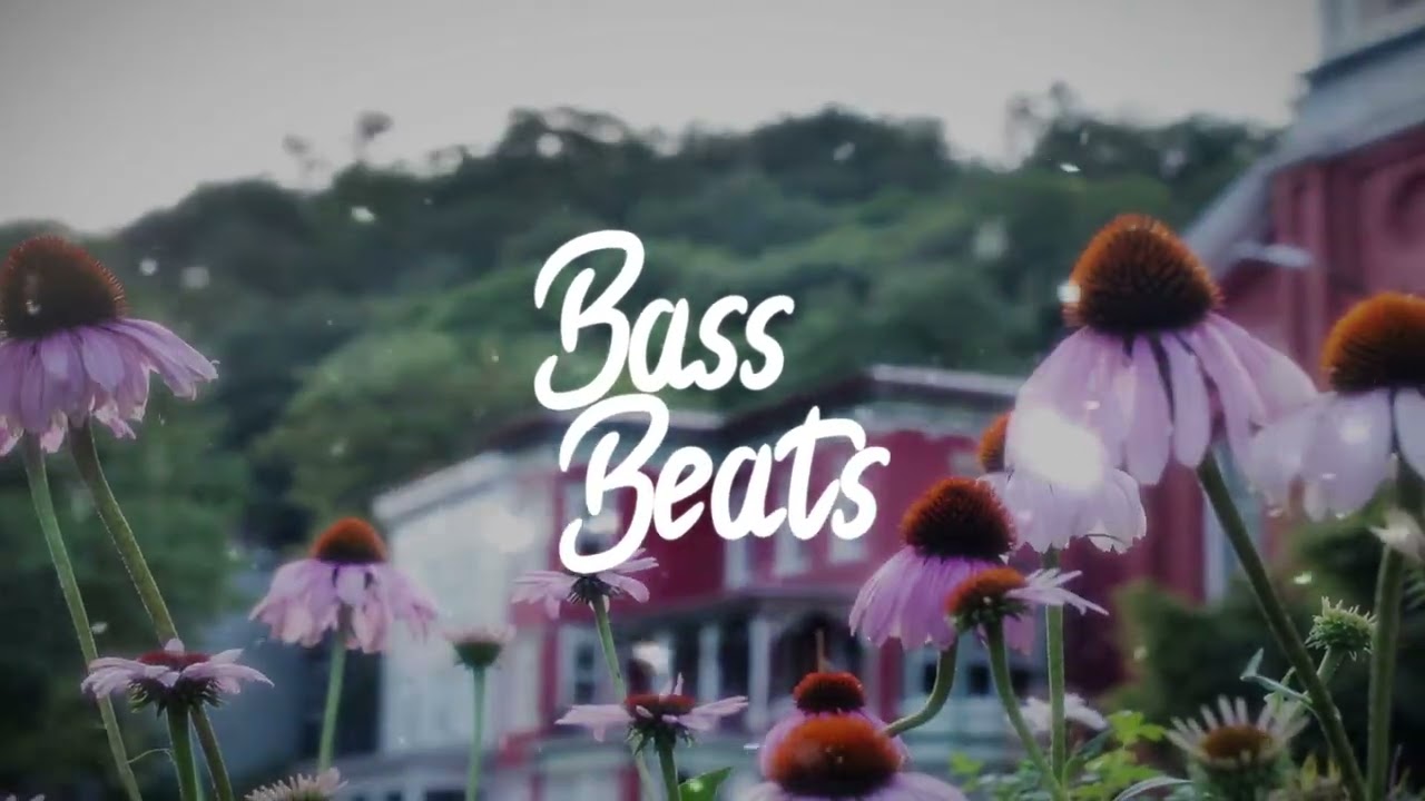 Sam Feldt - Show Me Love (Future Tropical 2025 Remix) [Bass Boosted]