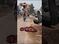 T-Rex dinosaur vs Anaconda #trex​ #dinosaur​ #jurassicworld​ #anaconda​ #shorts​ #youtubeshorts​