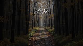 QURAN URDU TRANSLATION 2026 | QURAN TILAWAT OFFICIAL #quranrecitation #quran