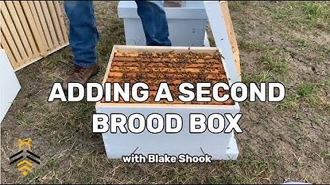 BEEKEEPING under a minute: Adding a Second Brood Box with Blake Shook