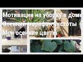 Мотивация на уборку/Осенний марафон чистоты/Убираю по зонам/Осенние цветы