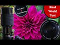 Vivitar 70-210mm f3.5 Series 1 Lens Review + Real World Test | Vintage Zoom Lens