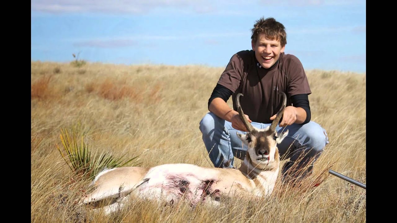 Montana Antelope Hunt 2013