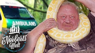 RIESENSCHLANGE ERWÜRGT NORBERT ZAJAC | NORBERTS WELT | Zoo Zajac