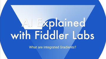 AI Explained Video Series - Learn about Explainable AI and MLOps: What are Integrated Gradients?